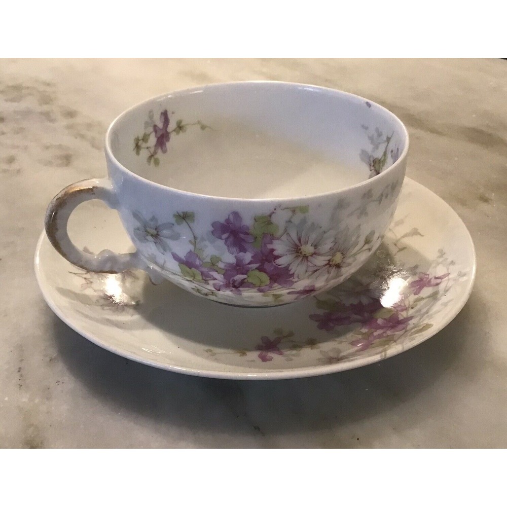 Theodore Havilland Limoges France Teacup & Saucer Purple Floral